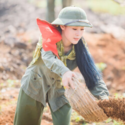 Nhạc Tiền Chiến Cách Mạng Những Ca Khúc Nhạc Đỏ Bất Hủ