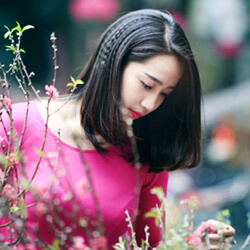 Tình Ca Mùa Xuân Tuyển Chọn Nhạc Đỏ Cách Mạng Trữ Tình Ngọt Ngào Hay Nhất