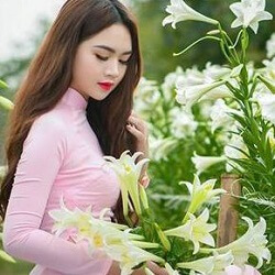 Nhạc Đỏ Tiền Chiến Rung Động Núi Rừng LK Nhạc Sống Vùng Núi Tây Bắc