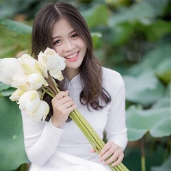 Trường Sơn Đông Trường Sơn Tây Nhạc Đỏ Cách Mạng Nhạc Tiền Chiến