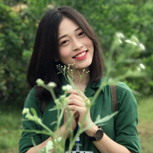 Những Bài Hát Trữ Tình Cách Mạng Ai Cũng Muốn Nghe